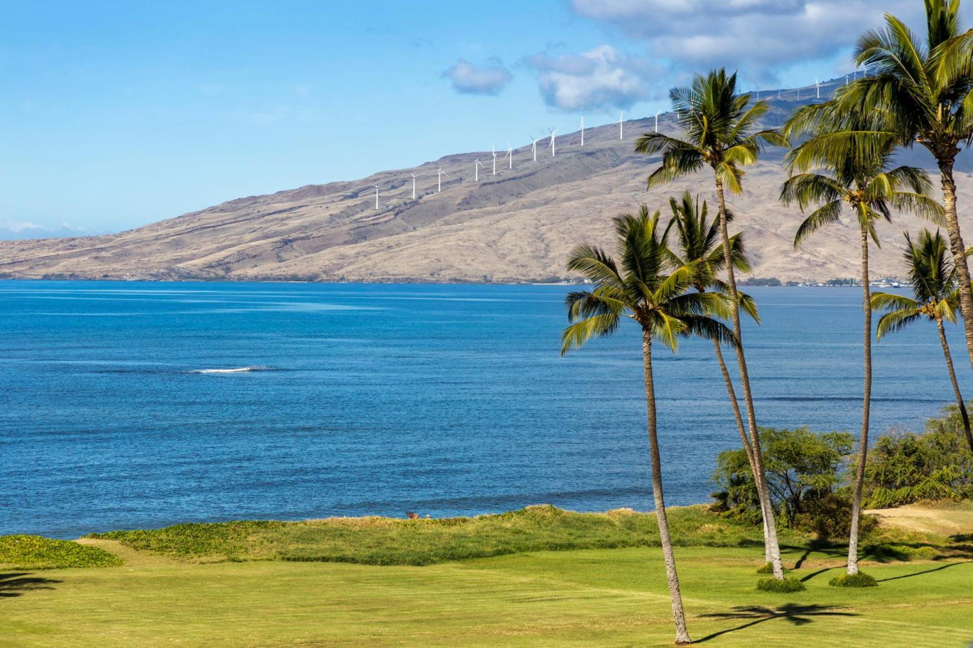 Maui Sunset Apart otel Kihei Dış mekan fotoğraf